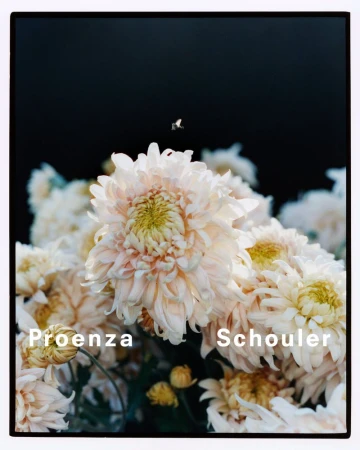 Floral still life featuring white chrysanthemums with yellow centers against a dark background, with a small flying insect.