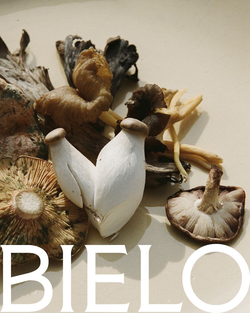 Assortment of wild mushrooms displayed on a light surface showcasing different textures, colors, and forms.