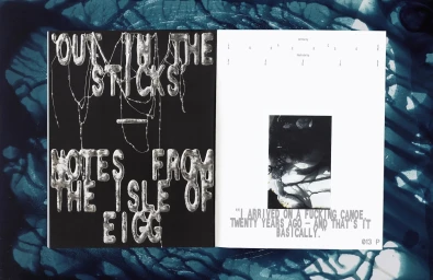 Spreading pages of a publication titled Out in the Sticks with metallic 3D typography and a small photograph