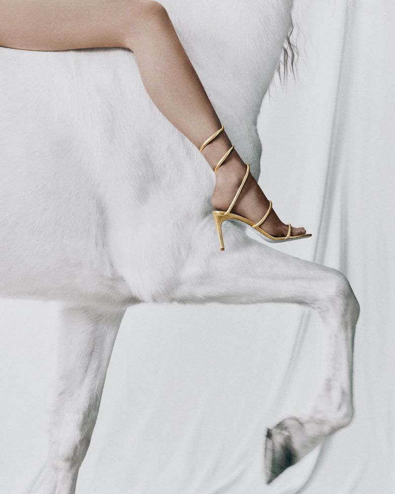 Close-up of a woman's leg wearing a gold strappy heel sandal, draped across a white horse. The background is a white studio backdrop.