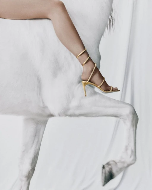 Close-up of a woman's leg wearing a gold strappy heel sandal, draped across a white horse. The background is a white studio backdrop.