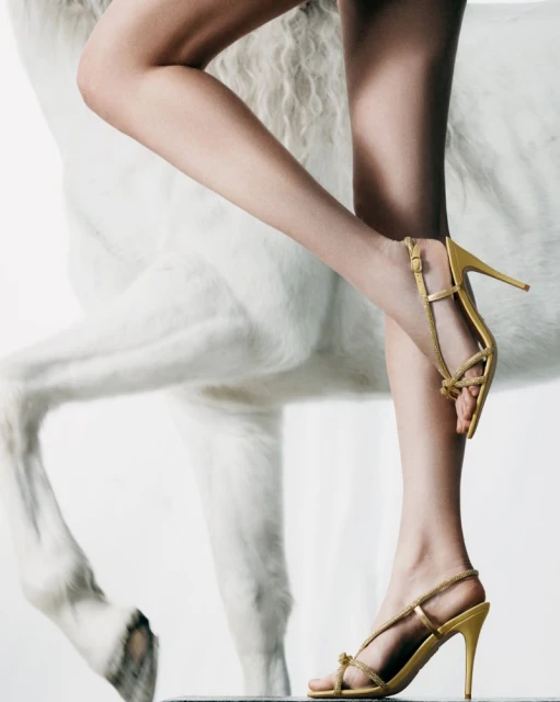 Legs of a woman wearing gold high heels, standing next to a white horse. Studio shot on a white background.