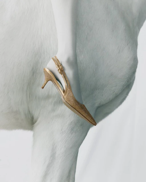 Close-up shot of a gold, glittering high-heeled shoe resting on a fluffy white surface, possibly fabric or fur, under bright studio lighting.