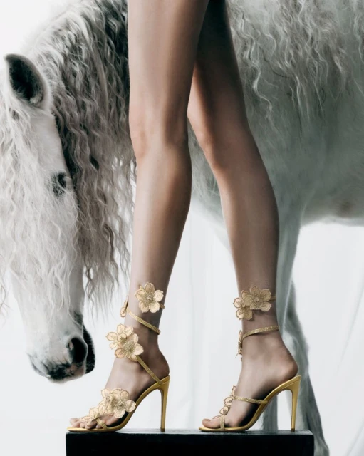 Woman's legs wearing gold floral high-heeled shoes, standing on a box, with a white horse in the background. Fashionable footwear.
