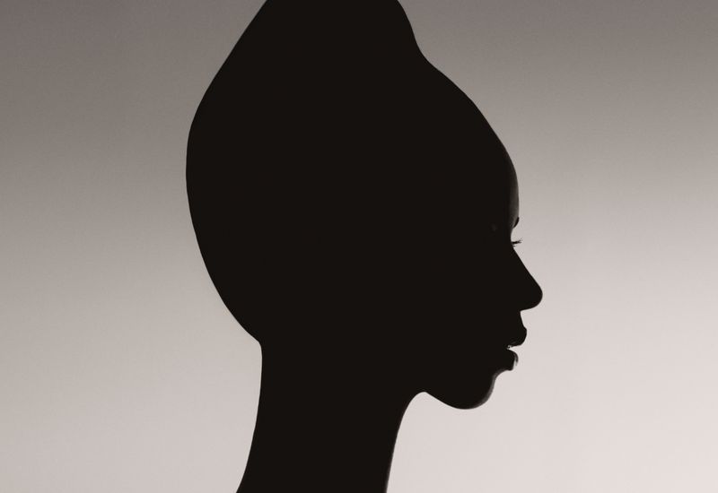 Silhouette profile of a woman with a high updo hairstyle against a light gradient background.