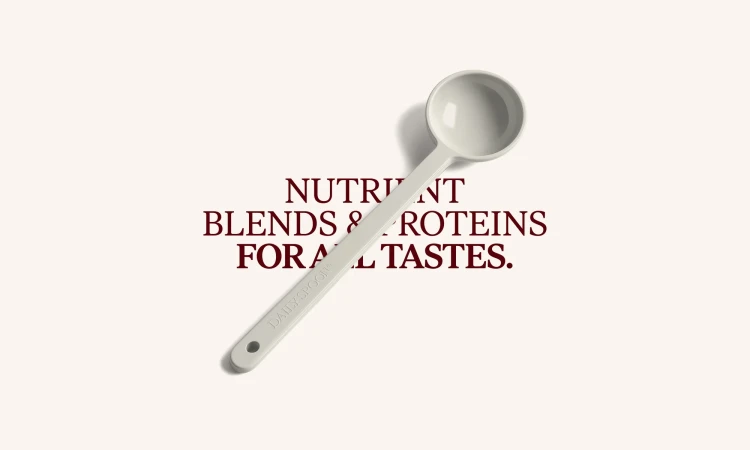 Brand Identity