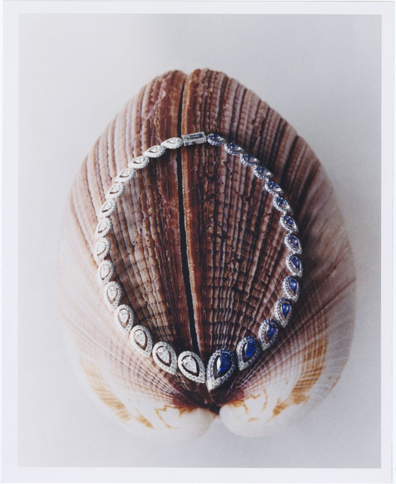 Elegant necklace with blue and white stones, displayed on a textured seashell against a bright white backdrop, ideal for jewelry advertising.