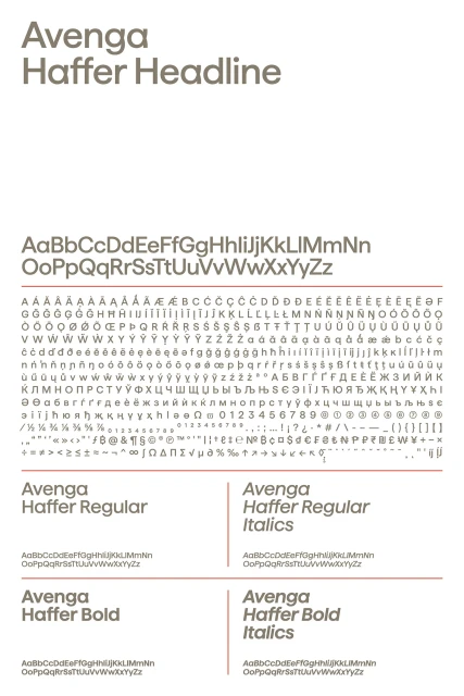 Brand Identity