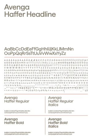 Brand Identity