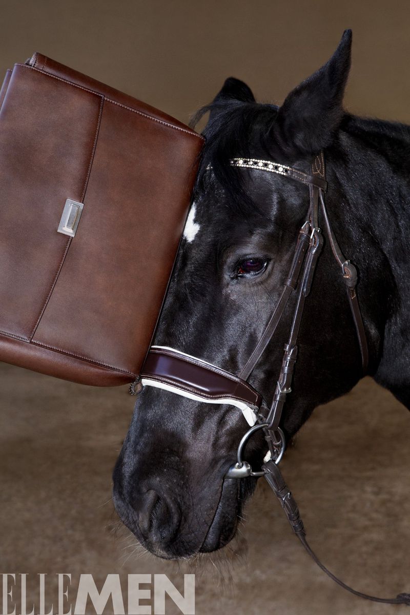 A horse's head with bridle, posing next to a brown leather briefcase in a studio setting. Soft lighting and earthy tones enhance the visual.