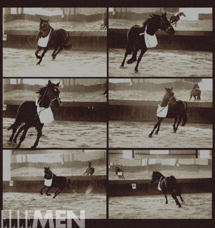 Sepia-toned collage features multiple horses in motion within an arena, captured in a vintage photographic style with a grid layout.