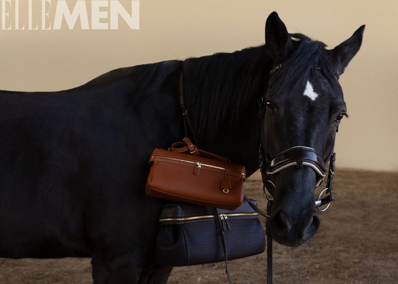 Elegant black horse accessorized with stylish brown and black leather bags, indoor studio setting.