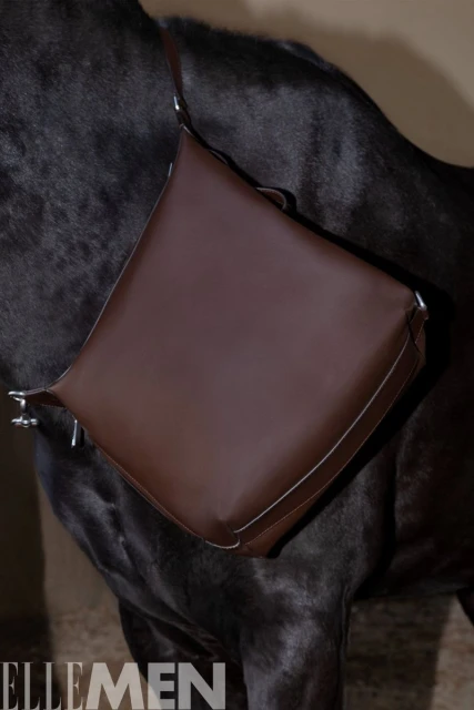 The Horse in Dream