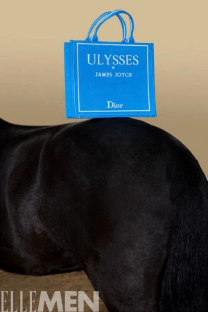 Bright blue book tote bag resting on the back of a black horse against a neutral beige studio background