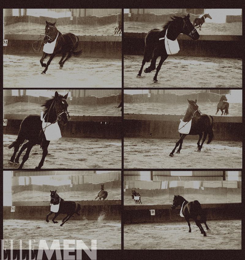 Multi-panel photographic sequence of a dark horse moving within a covered indoor arena shot by photographer Mia Song.