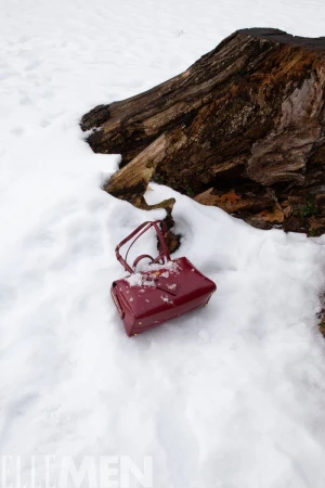 Red purse sits on snowy ground near a weathered tree stump. Snow covers the purse and the surrounding area in an outdoor setting.