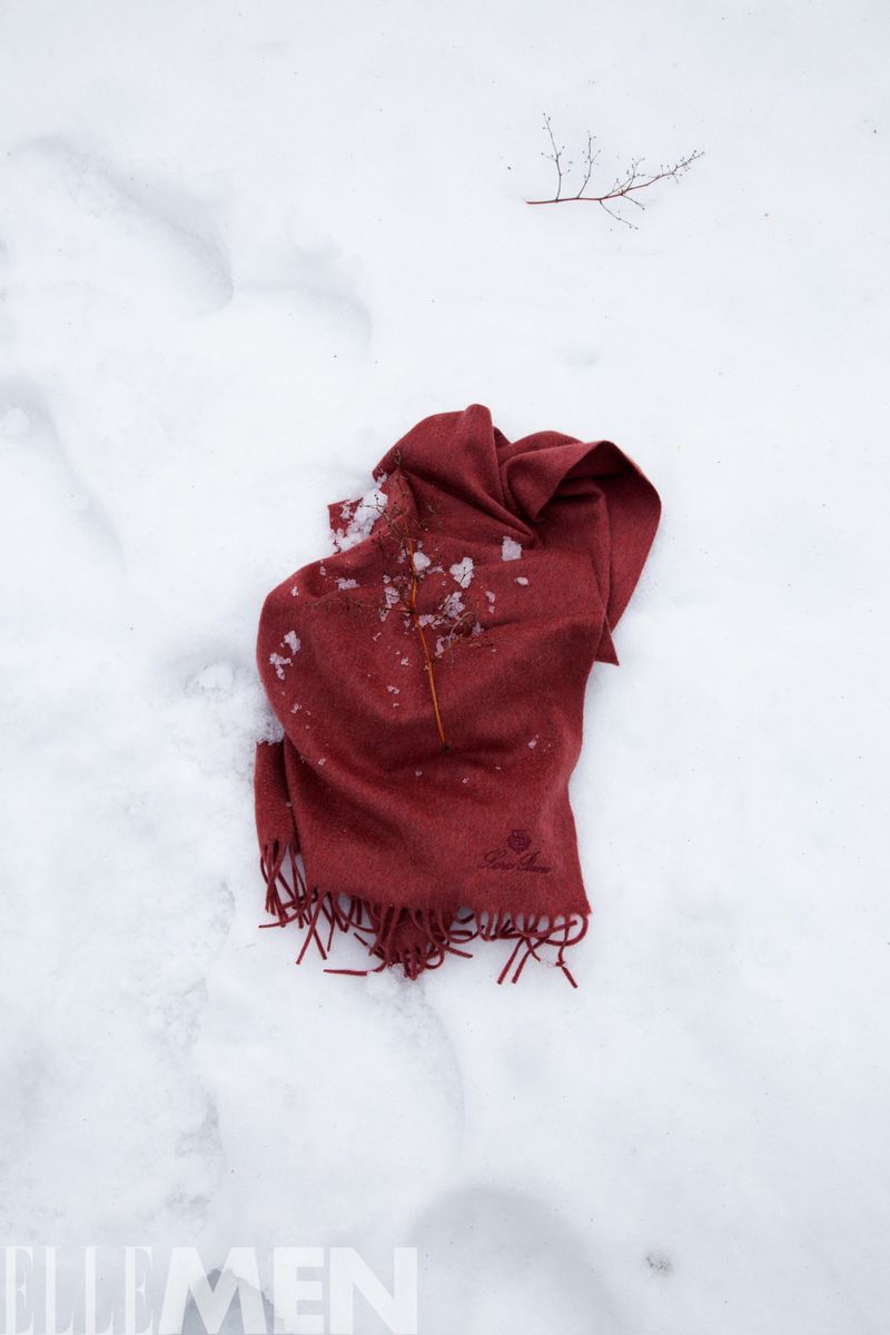 Burgundy scarf lies discarded on a snow-covered surface, with a small, leafless twig nearby, in an outdoor winter setting.