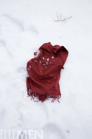 Burgundy scarf lies discarded on a snow-covered surface, with a small, leafless twig nearby, in an outdoor winter setting.