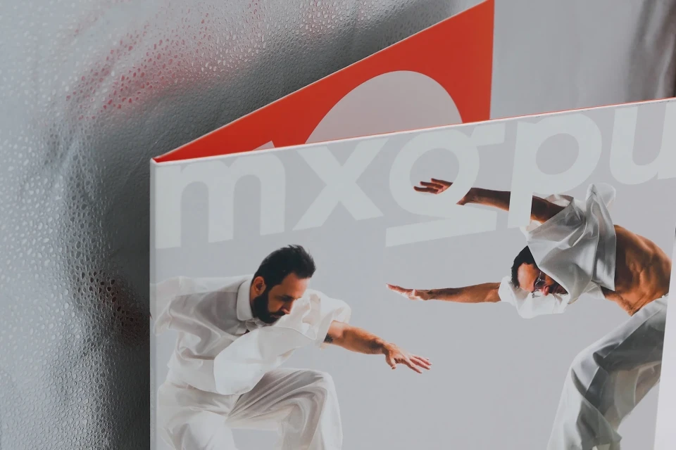Brand Identity