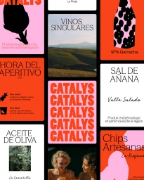 Collage of graphic design brand identity panels for Catalys featuring typography and packaging illustrations