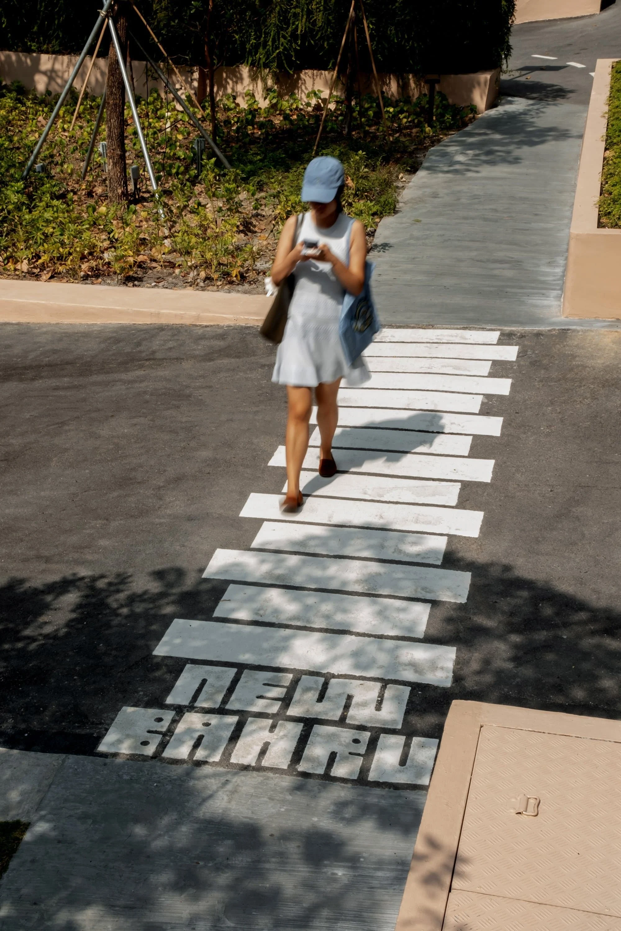 Woman in sun hat walks across zebra painted crosswalk with shoulder bag on a sunny day, urban environment with trees and plants.