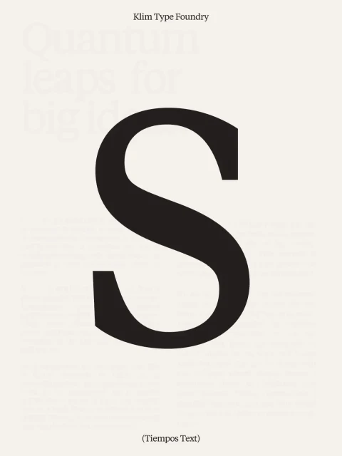 Brand Identity