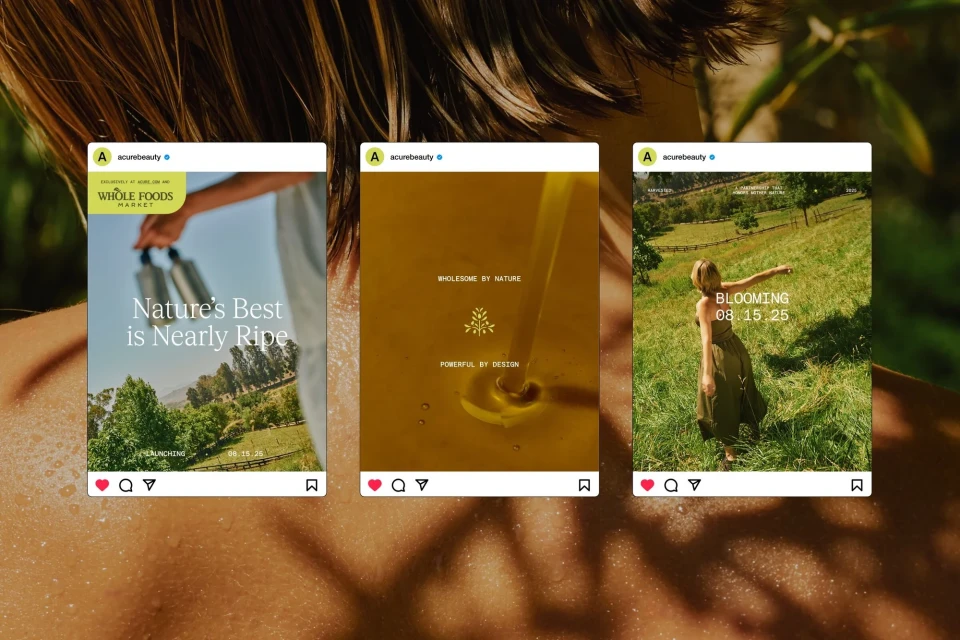 A person's shoulder and upper back, with three Instagram posts featuring landscapes, olive oil, and a field, promoting Acurebeauty.