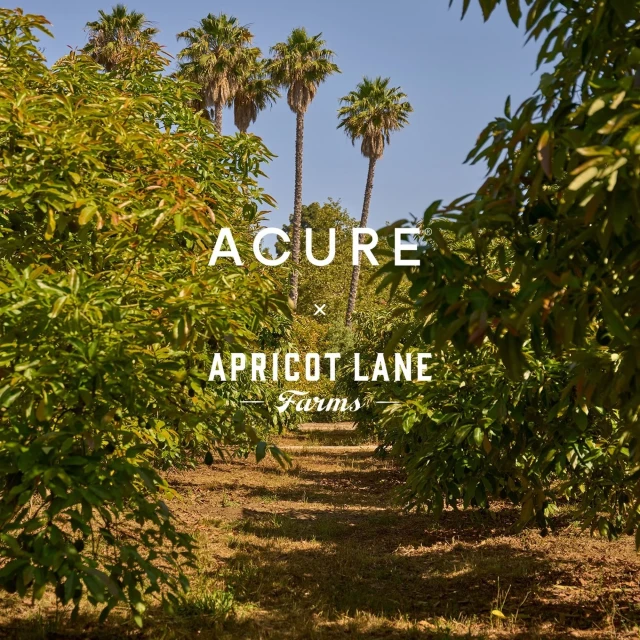 A dirt road leads through an avocado orchard towards palm trees under a blue sky, with the text 'ACURE Apricot Lane Farms'.