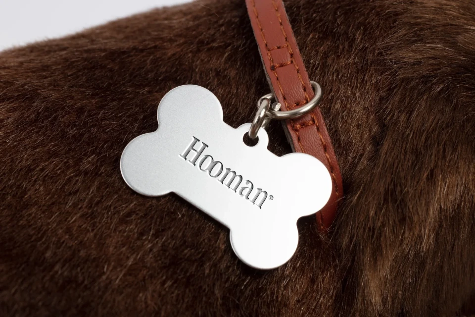 Close-up of a dog's brown fur and a silver dog tag with the word 'Hooman' engraved on it, attached to a brown leather collar.