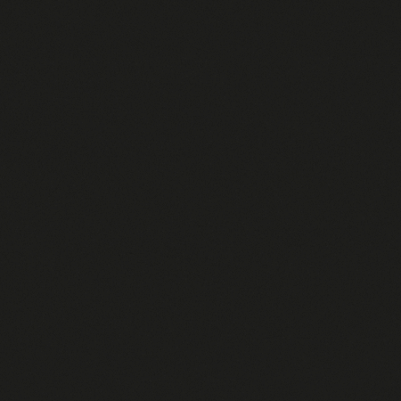 Monochrome image with a dark and uniform surface, showcasing a smooth and subtly textured black background.