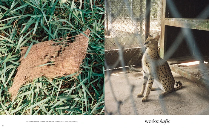 Diptych featuring woven natural fiber on green grass beside a spotted wild cat sitting behind a wire fence.