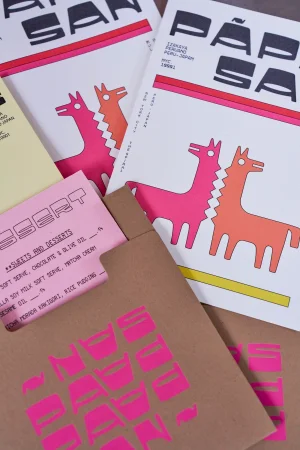 Printed menus and brand identity collateral featuring pink and orange illustrations for Papa San