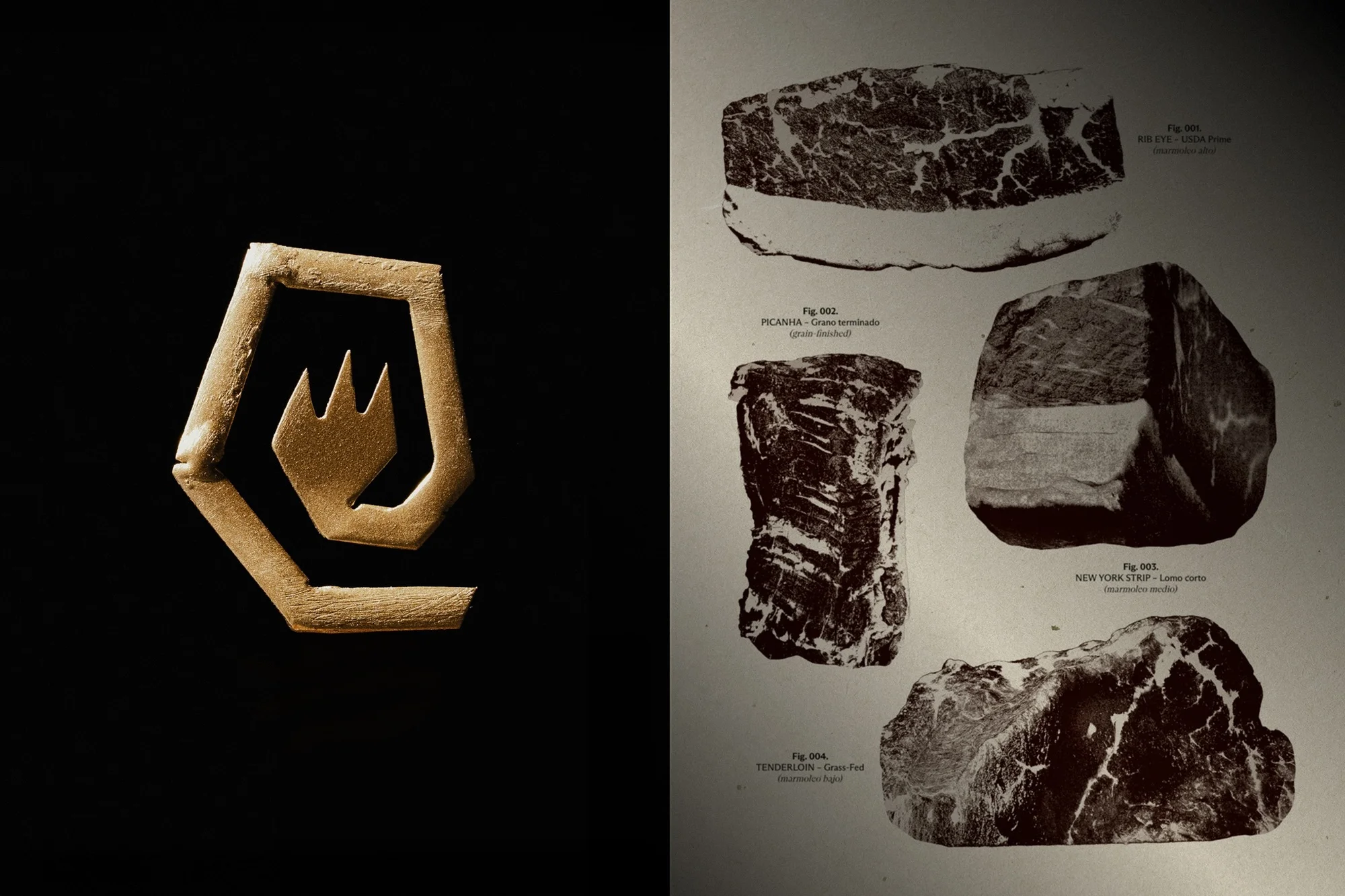 Golden logo on black backdrop next to a page showing images of raw meat cuts. Illustration of different cuts of raw beef.