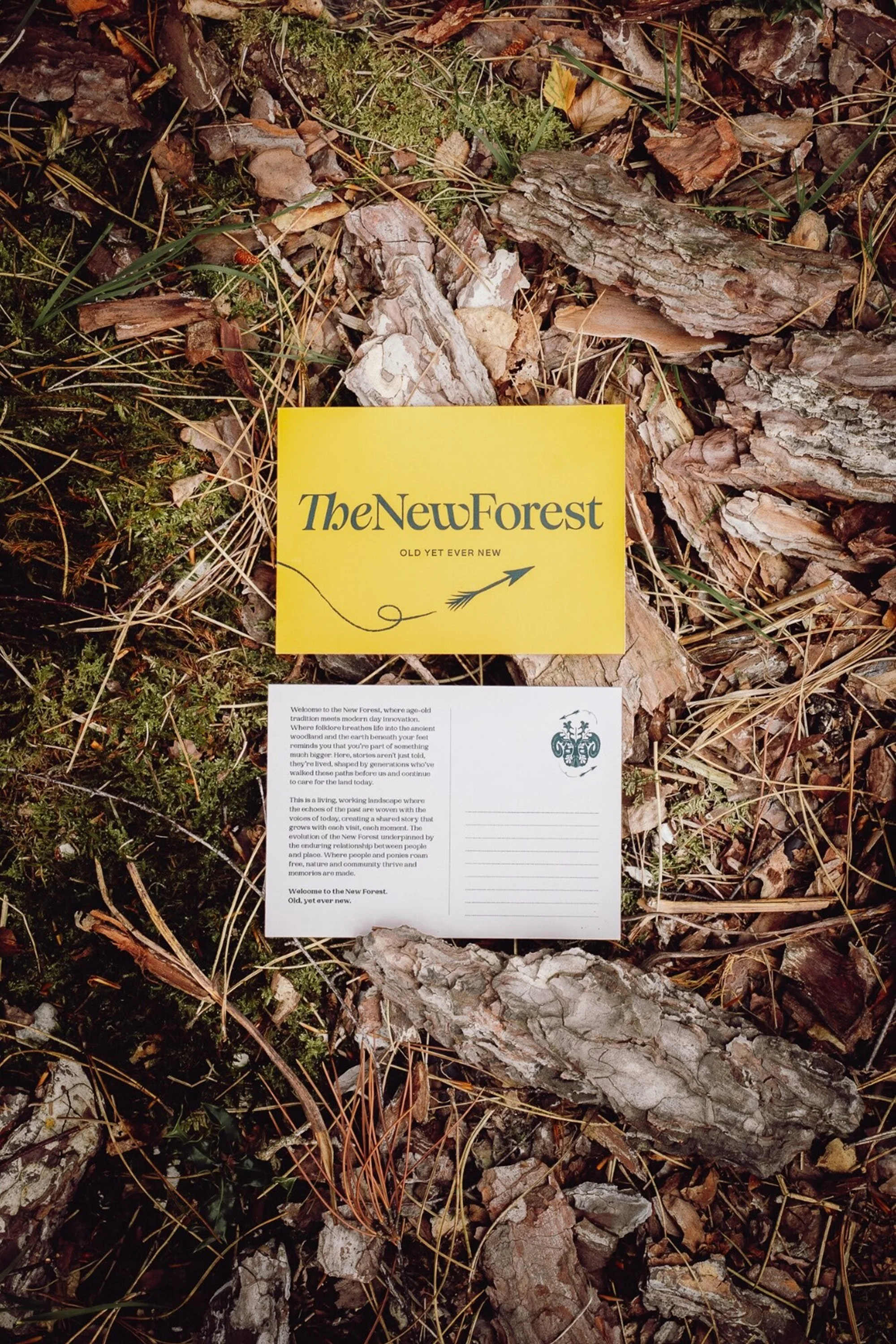 Overhead shot of yellow and white postcards arranged on a forest floor with bark, moss, pine needles, and leaves.