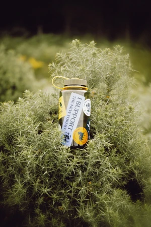 Reusable water bottle with stickers on a lush green plant with spiky leaves in an outdoor setting, nature and sustainability.