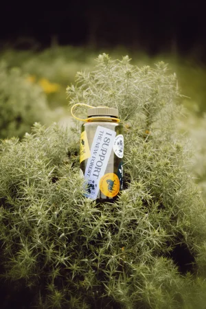 Water bottle covered in stickers nestled within a dense patch of spiky green gorse bushes outdoors.