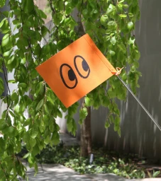 Bright orange flag featuring black cartoon eyes mounted on a slender metal pole outdoors amidst green foliage