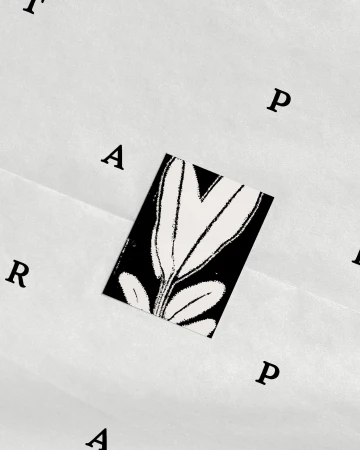 Elevated shot of a white greeting card with an abstract floral design on a white textured surface with black sans-serif letters.
