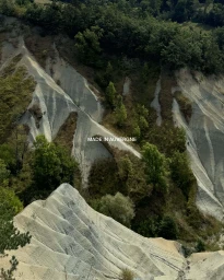 Aerial view of rugged, eroded gray clay hills interspersed with patches of green trees under daylight.