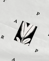 Close-up graphic design image featuring botanical illustration and typography for Apoticari brand identity