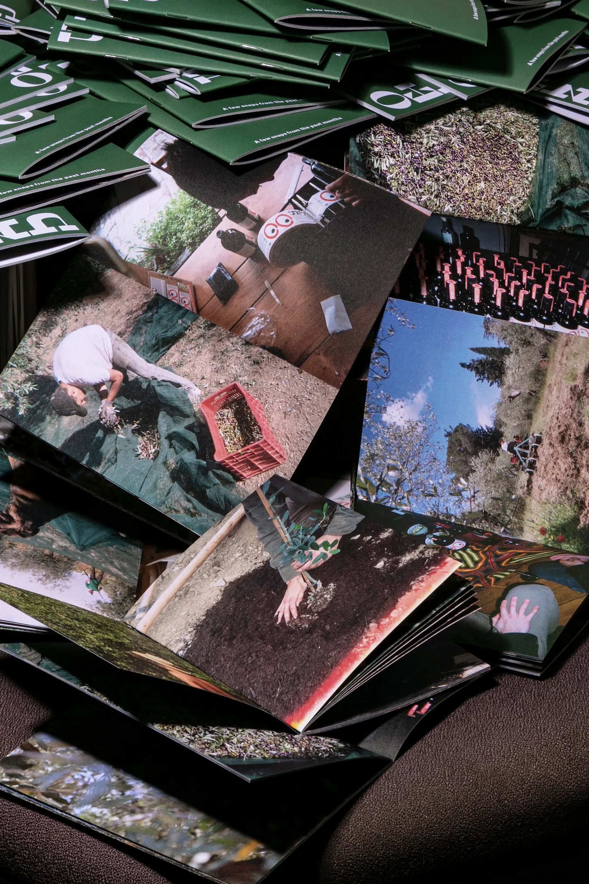Close-up of various printed photographs with people and landscapes, stacked on a brown surface with green paper stacks visible.