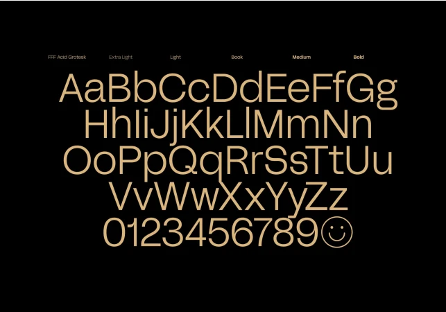 Brand Identity