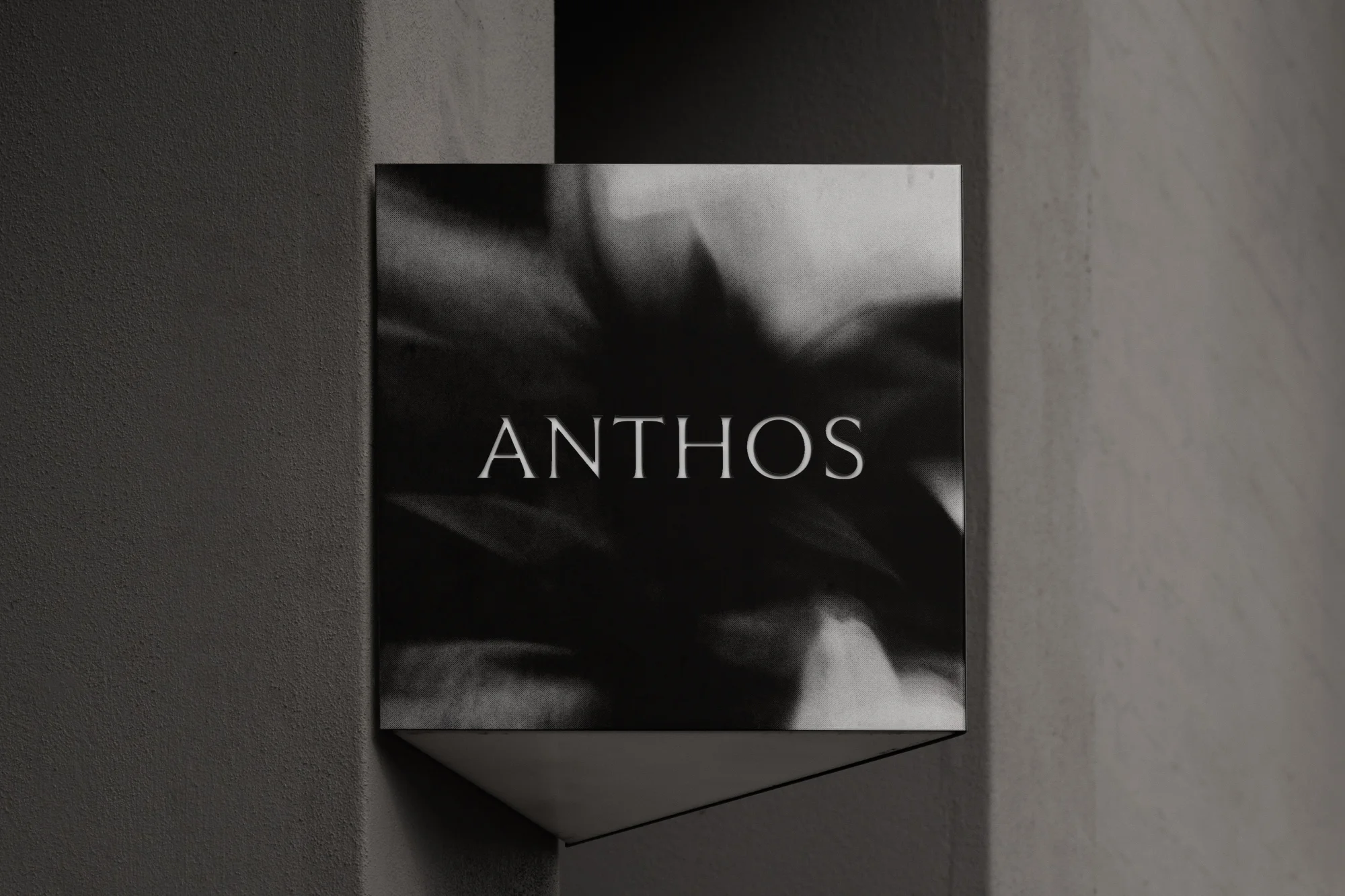 Square poster featuring 'ANTHOS' text over an abstract black and white background, mounted on a gray textured wall indoors.