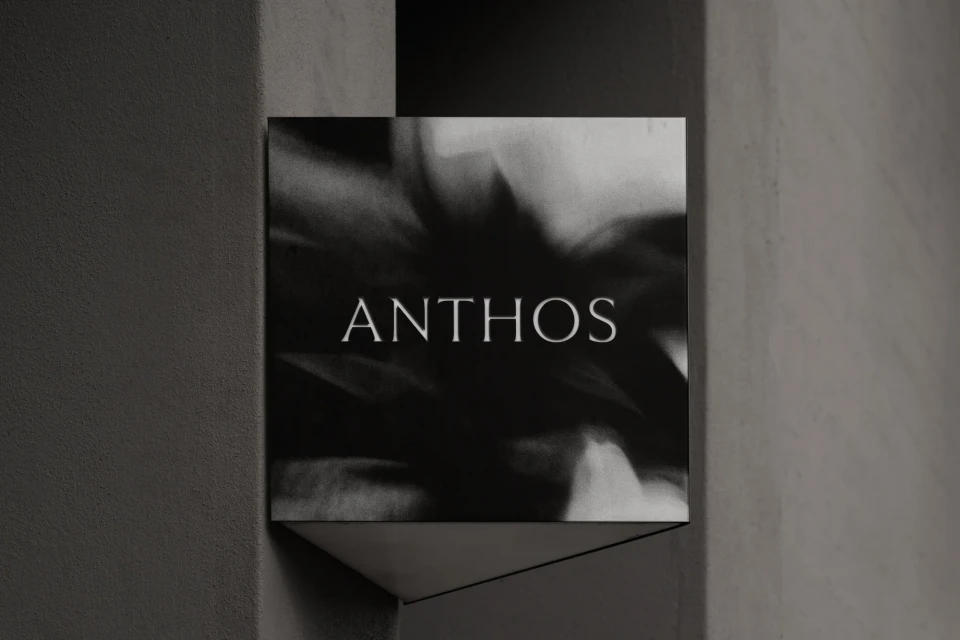 Brand Identity