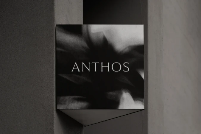 Brand Identity