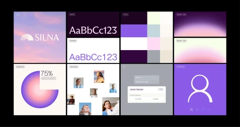 Brand identity guide for Silna featuring typography, color palette, gradients, and UI iconography components.