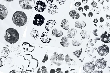 Monochrome black ink fruit and vegetable prints layered across multiple white paper sheets