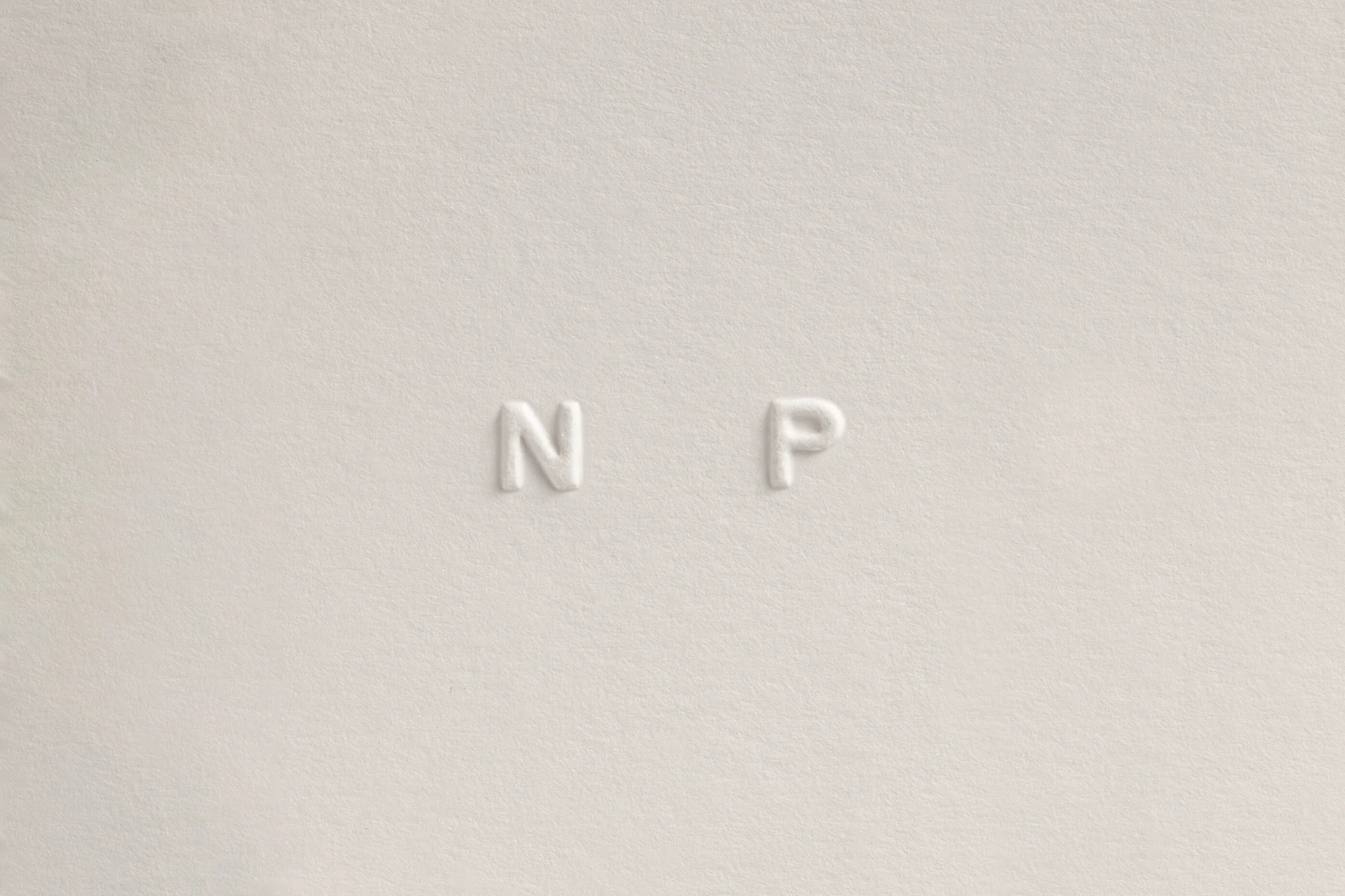 Minimalist embossed letters 'N' and 'P' on a textured off-white surface. Clean, simple design with subtle shadow.