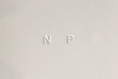 Embossed white letters N and P centered on a textured off-white paper background.