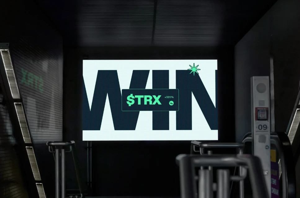 Brand Identity